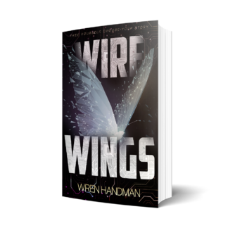 Wire Wings by Wren Handman